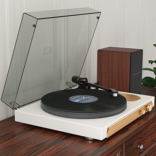 Record Player Turntable With Wireless Input And Output Vinyl Player Support 33&45 Rpm Phono Line Output Usb Recording With Adjustable Counterweight Magnetic Cartridge #TOP6