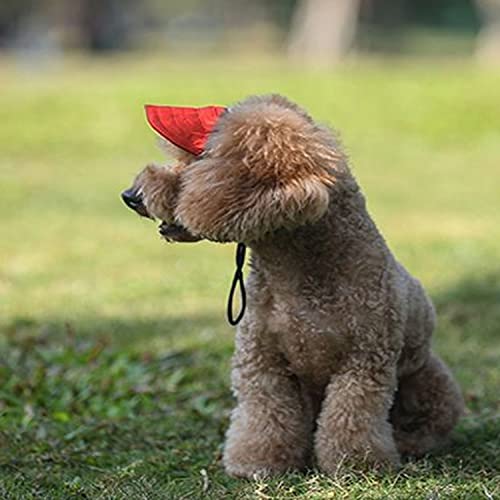 Image of HDKUW Dog Hat with Ear Holes, Dog Baseball Outdoor Cap, Adjustable Summer Travel Sport Hat for Small Medium Dogs Red XL