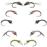 The Fly Fishing Place Basics Collection - Essential Bead Head Midge Nymph Assortment - 10 Wet Flies - 5 Patterns - Hook Sizes 14, 16, 18