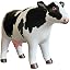 Cow: Milk White
