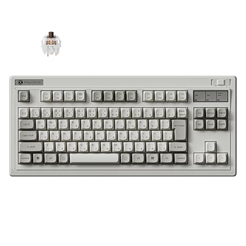 �y�������K�i�zKeychron R3 �J�X�^�����J�j�J���L�[�{�[�h TKL�z�� JIS���C�A�E�g �z�b�g�X���b�v�Ή� PBT�L�[�L���b�v RGB�o�b�N���C�g Keychron Apex�X�C�b�` Mac�EWindows�ELinux���p ���g���z���C�g ����
