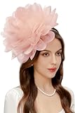 BABEYOND Fascinators Hats for Women - Tea Party Kentucky Fascinator Derby Hat Mesh Flower Fluffy Headband with Hair Clip Pink