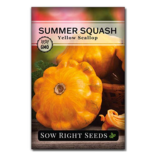 Sow Right Seeds - Yellow Scallop Squash Seed for Planting - Non-GMO Heirloom Packet with Instructions to Plant a Home Vegetable Garden, Traditional Summer Variety - Tasty Mini Squash (1)