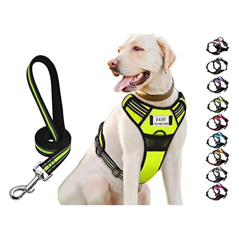 Moonpet Custom Personalized No Pull Dog Harness Leash Set with Name and Phone Number, Heavy Duty Personalized Pet Vest Harness to Prevent Tugging Pulling Choking Training and Walking Cover