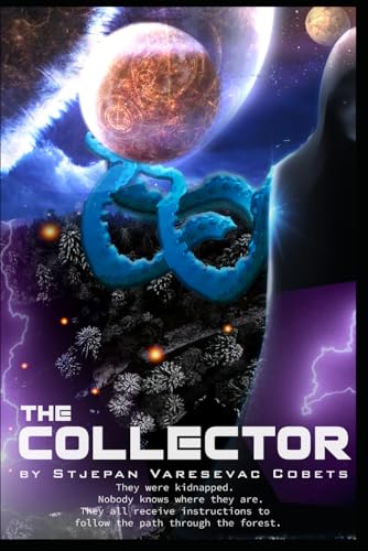 The Collector view 2
