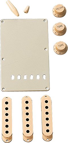 Fender Aged White Stratocaster Accessory Kit