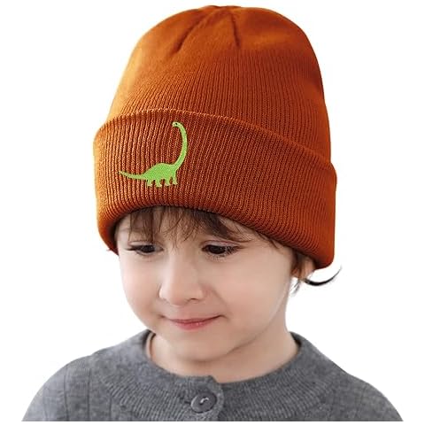 ACTLATI Toddler Boys Knitted Beanie Cute Dinosaur Embroidery Hat Cuffed Skull Caps for Autumn Winter 3-8 Years Cover