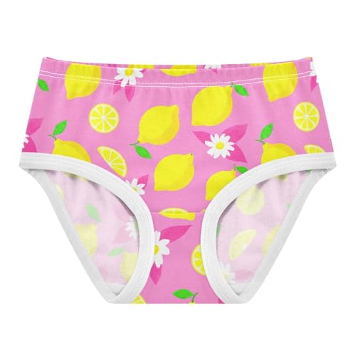 Fruit Lemon Pink Toddler Girls's Underwear 2T 2302918