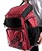 ARENA One Go Backpack Swimmers Athletes Sports Gym Rucksack Multisport Daypack Large Size Training Gear Equipment Swim Bag for Men and Women, 45 Liters, Crimson Pink Red