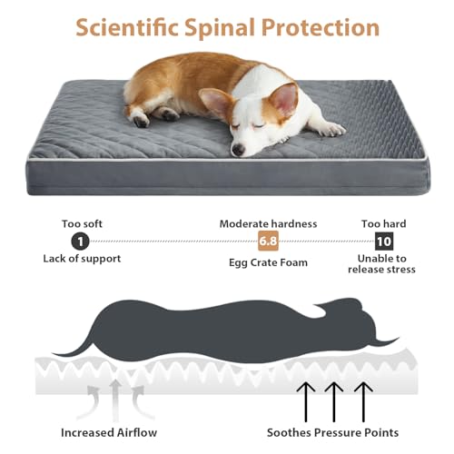 Wnpethome Orthopedic Dog Beds For Large Dogs, Extra Large Waterproof Dog Bed With Removable Washable Cover & Anti-Slip Bottom, Egg Crate Foam Pet Bed Mat thumb #2