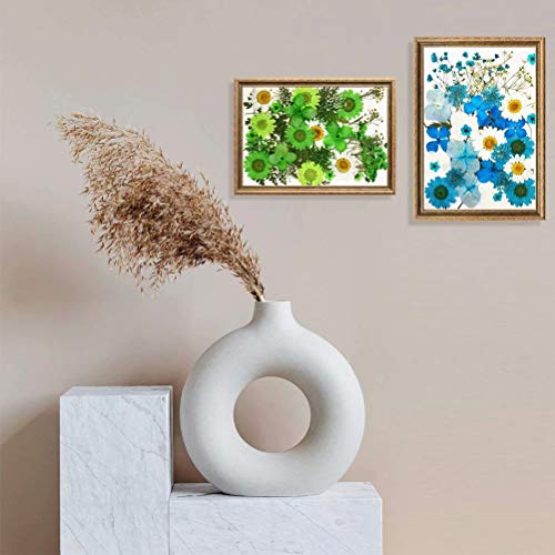 Flores secas prensadas reales para manualidades, 65 piezas miniatura 5