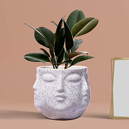 Lasaki Vivan White Ceramic Pots for Indoor Plants, Planters, Flower, Pots, gamla, Outdoor, Balcony, Home, Garden, Office Decor, Succulent Pot(H - 10 X D - 10 cm)(Plants not Included)