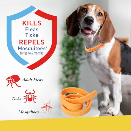 XBFOCNH 1 PCS Verstellbar Zecken- & Flohschutz Halsband Hund, Floh und Zeckenhalsband für Hunde Natürlicher Zeckenschutz, Länge: 63cm,für kleine, mittlere und große Haustiere