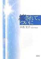 The shed, at last (2009) ISBN: 4286060705 [Japanese Import] 4286060705 Book Cover