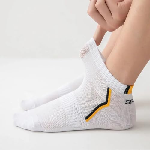 Image of MOMISY Men's Premium Cotton Cushion Ankle length Socks, (Multicolor) Pack of 5 (Free Size)