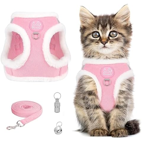 Cat Harness and Lead Set Cover