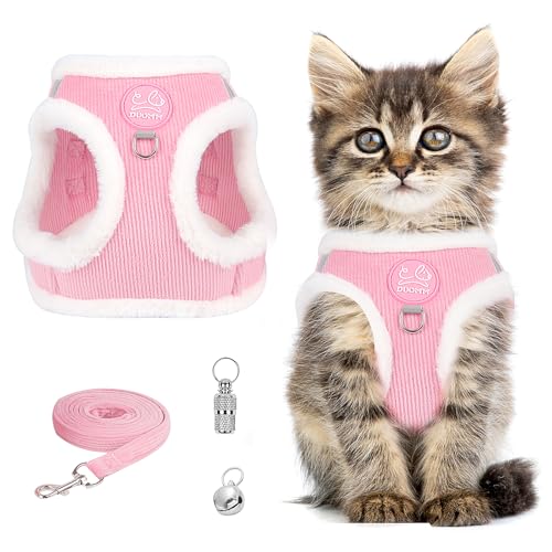 Ensemble de harnais anti-éclatement pour chat - Harnais de poitrine avec réfléchissant - Laisse pour chat - Harnais pour chat avec laisse - Harnais pour chat - Chatons et chiots (rose, XS)