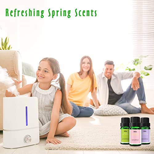 Candle Making Scents, Mitflor Spring Fragrance Oils Set Of 14, Premium Scented Oil For Candle, Soap Making, Aromatherapy Essential Oils Gift Set, Cherry Blossom, Garden Iris, Spring Bloom, 14X10Ml #TOP3