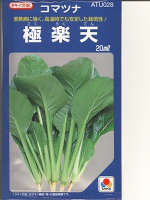 ؁@@ɊyV@^LCz@^LC̏؎ł@@@iO[f|j