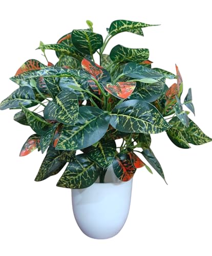 Image of Artificial Money Plant /Tree with Pot, Green-Red | Natural Looking, Ornamental Plant, Interior Decor, Home /Shop /Office Decor