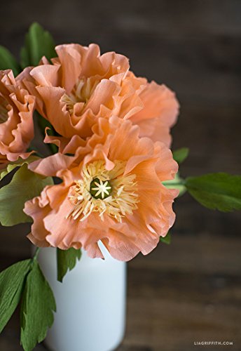 Lia Griffith rolo dobrável de papel crepe extra fino, Coral, 10.7-Feet, 1