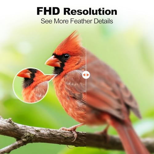 Image of Fazoxo Bird Feeder with Camera,Birds House Camera,Solar Powered,AI Bird ID