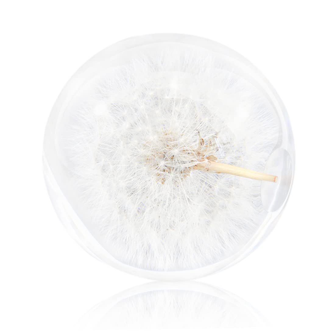 Kristallkugel, Pusteblumen-Briefbeschwerer, Traumball, einzigartiger Briefbeschwerer aus Kunstharz, Geschenke für Kinder und Freunde, Pusteblumen-Briefbeschwerer, Kugel, Glas, Briefbeschwerer, Kristal