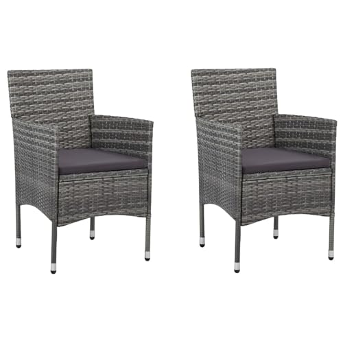 Fasba Silla de Comedor de Ratan Sintético Moderna, 2 Unidades, Resistentes a la Intemperie, Ergonómicas, Gris + Oscuro Modelo FCLRZJ-46180ES