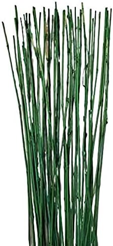 Empire Home Palitos de bambú decorativos naturales verdes de aproximadamente 6 pies de alto, paquete de 20