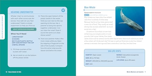 Callisto Kids Hestermann, Bethanie Ocean Animals For Kids: A Junior Scientist'S Guide To Whales thumb #4