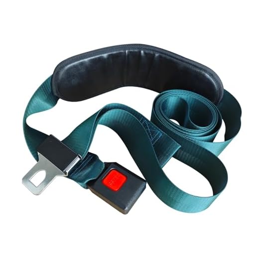 VEXIGO Cinturón de movilización de extremidades, Fisioterapia con Correa de tracción, tracción Manual y Movilidad con Almohadilla, 9,8 pies/3 m(B)