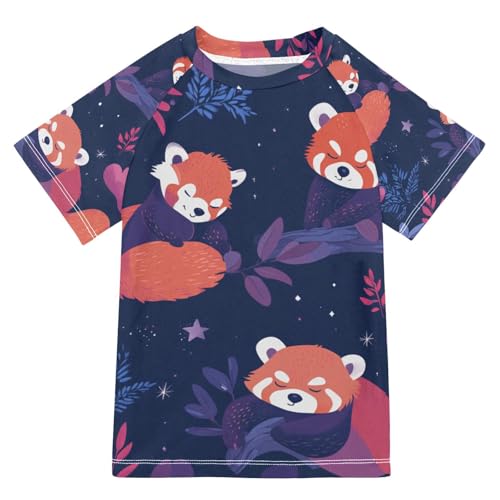 Jucciaco Boys Swimsuit Raccoon Cartoon Bear Panda Sunscreen Kids Sun Rashguard Short Sleeve T-Shirts Swimwear Sets UPF 50+ Multicoloured
