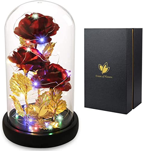 Rose artificielle de la Belle et la Bête dans un dôme en verre, rose préservée pour femme, mariage, Thanksgiving, anniversaire, Saint-Valentin, cadeau pour elle Cover