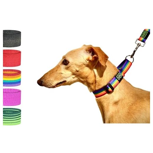 bub's Collar Especial Galgo - Collar para Perro Mediano/pequeño. para Todo Tipo de Razas de Perro y Especialmente para Galgos (Comprobar tamaño: Cuello 22 a 35). Color Rainbow.