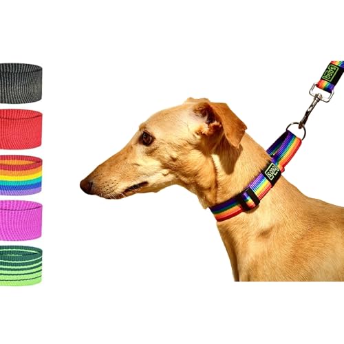 bub's Collier Martingale - Collier pour Chien de Moyenne/Petite Taille. Conçu pour Tous Les Types de Races de Chiens et en Particulier pour Les lévriers...