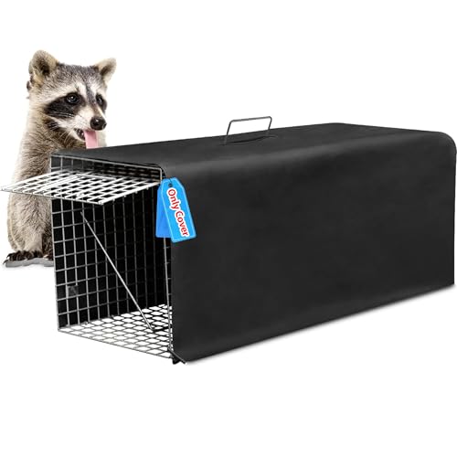 Ă铮gbvP[WJo[AǔLpLbggbv32C` ܂肽ݎXJNgbv {̃hAt ACO}AI|bTAOEhzbOAXJNAǔLAXp(Jo[̂)