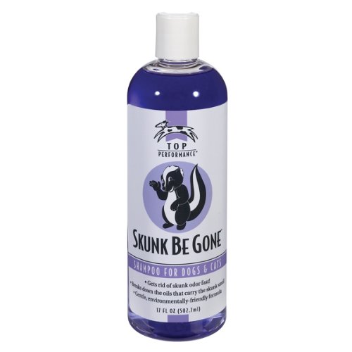 skunk be gone shampoo