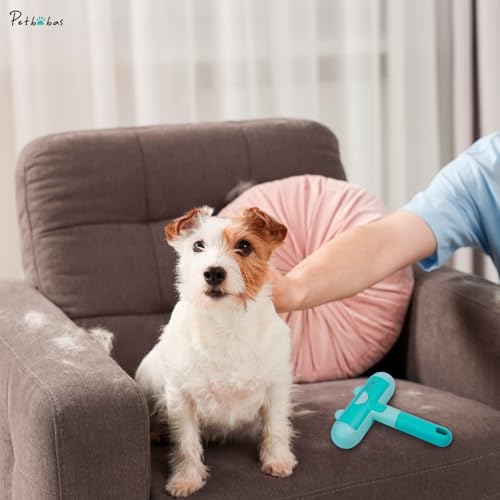 Image of Pet Hair Remover Roller | Remover and Reusable lint Roller | Portable Dog and Cat Hair Remover | Multi Surface - Couch, Furniture, Carpet, Clothing | Easy to Use Fur Removal Tool (Turq)