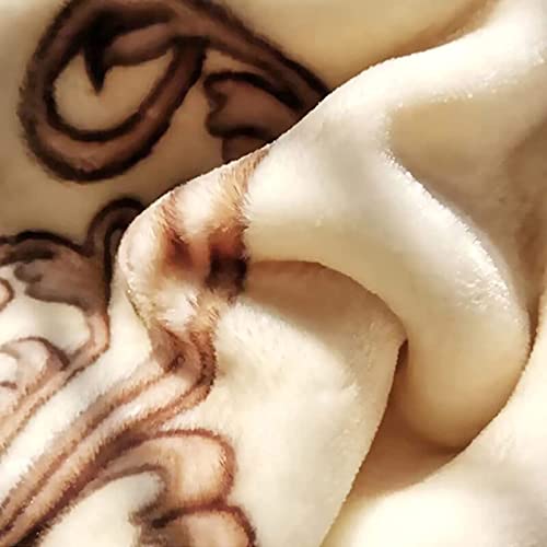 11 Lbs Heavy Korean Mink Blanket King Size - Silky Soft and Warm, 2 Ply Reversible Thick Winter Fleece ​Blanket- 85 x 95 inches