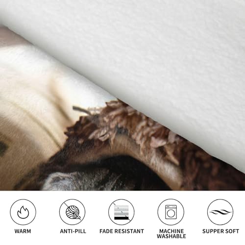 Couverture à capuche en flanelle de peluche douce EdWal premium - 6