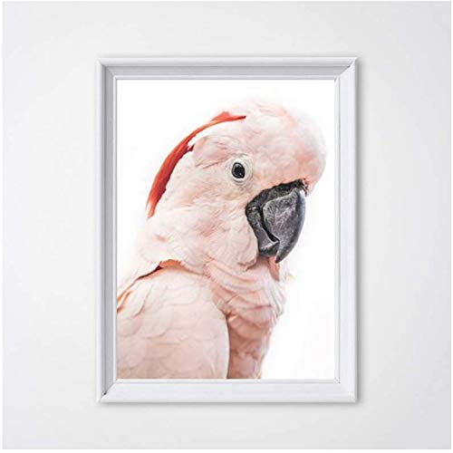 Affiche Cacatoès Rose 50x70cm, peinture sur toile oiseau exotique tropical sans cadre