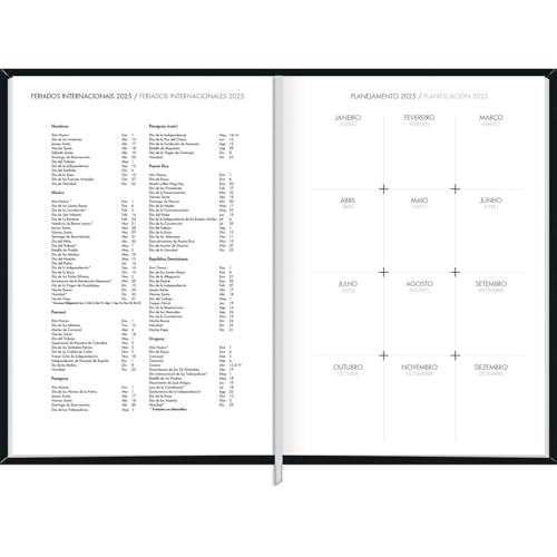 Tilibra - Agenda Executiva Costurada Diária 13,4 x 19,2 cm Napoli 2025 - Preta
