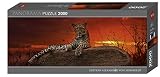 Heye- Red Dawn (Panorama 2000 Pz.) Puzle, Multicolor (9608)