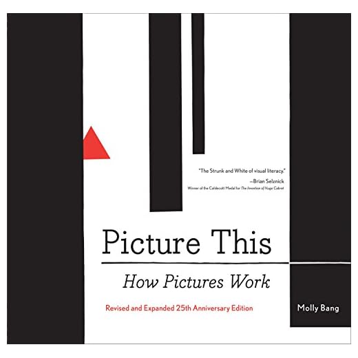 Picture This: How Pictures Work