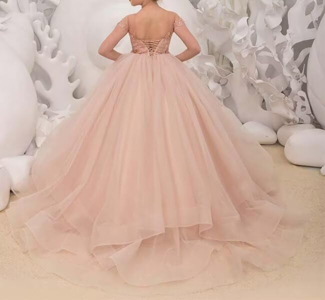 Flower Girl Dress Tulle Backless Pageant Dresses for Girls Lace Applique Kids Birthday Dress Porm Ball Gown2