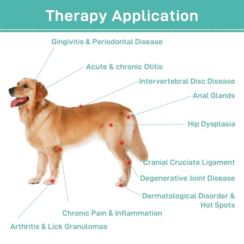 LASWHGDPET Red Light Therapy for Dogs - 12x 650 nm & 1 x808nm Infrared Red Light Therapy Vet Device, Portable Therapy Device for Pain Relief Arthritis, Spinal, Promote Blood Circulation by LASWHGDPET - Used condition - Image 4