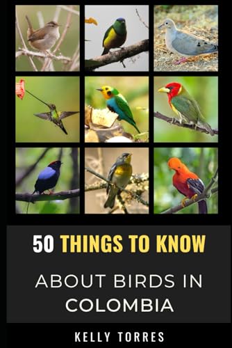 50 Things To Know About Birds In Colombia: Exploring Colombia’s Diverse Flying Creatures