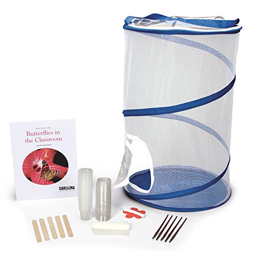 Butterflies In The Classroom Kit (With Voucher)