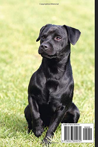 Patterdale Terrier Dog Notebook For Dog Lovers: Composition Notebook 6x9" Blank Lined Journal - Image 2