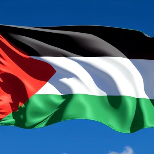 Episode 201 - FREE PALESTINE, Henry KissingHer, George Santos Update, Boogie Doc